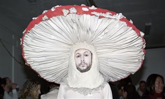 Very Sporish! Why Are so Many Artists Mad About Mushrooms?