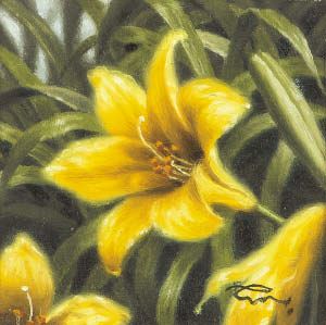 Lemon lily - Shogo Endo