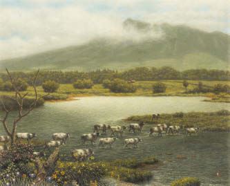 Lakeside by Shogo Endo