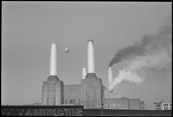 Animals - Pink Floyd by Carinthia West, 1976