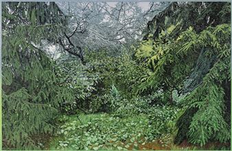 Siemen Dijkstra: À bois perdu - Fondation Custodia