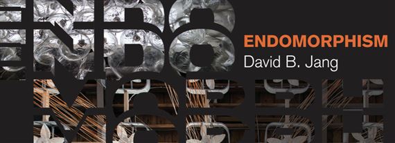 David B. Jang: Endomorphism - Robert V. Fullerton Art Museum, CSUSB