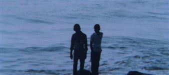 Birds of a Feather. Currents #7 - Z33 House for Contemporary Art