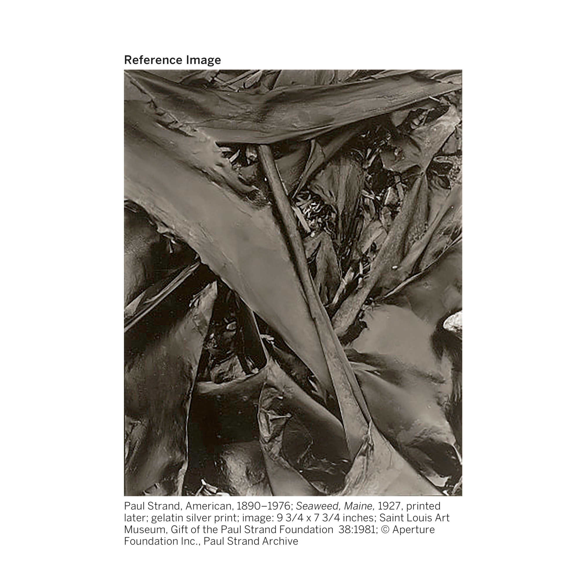 Artwork by Georgia O'Keeffe, SEAWEED, Made of oil on canvas
