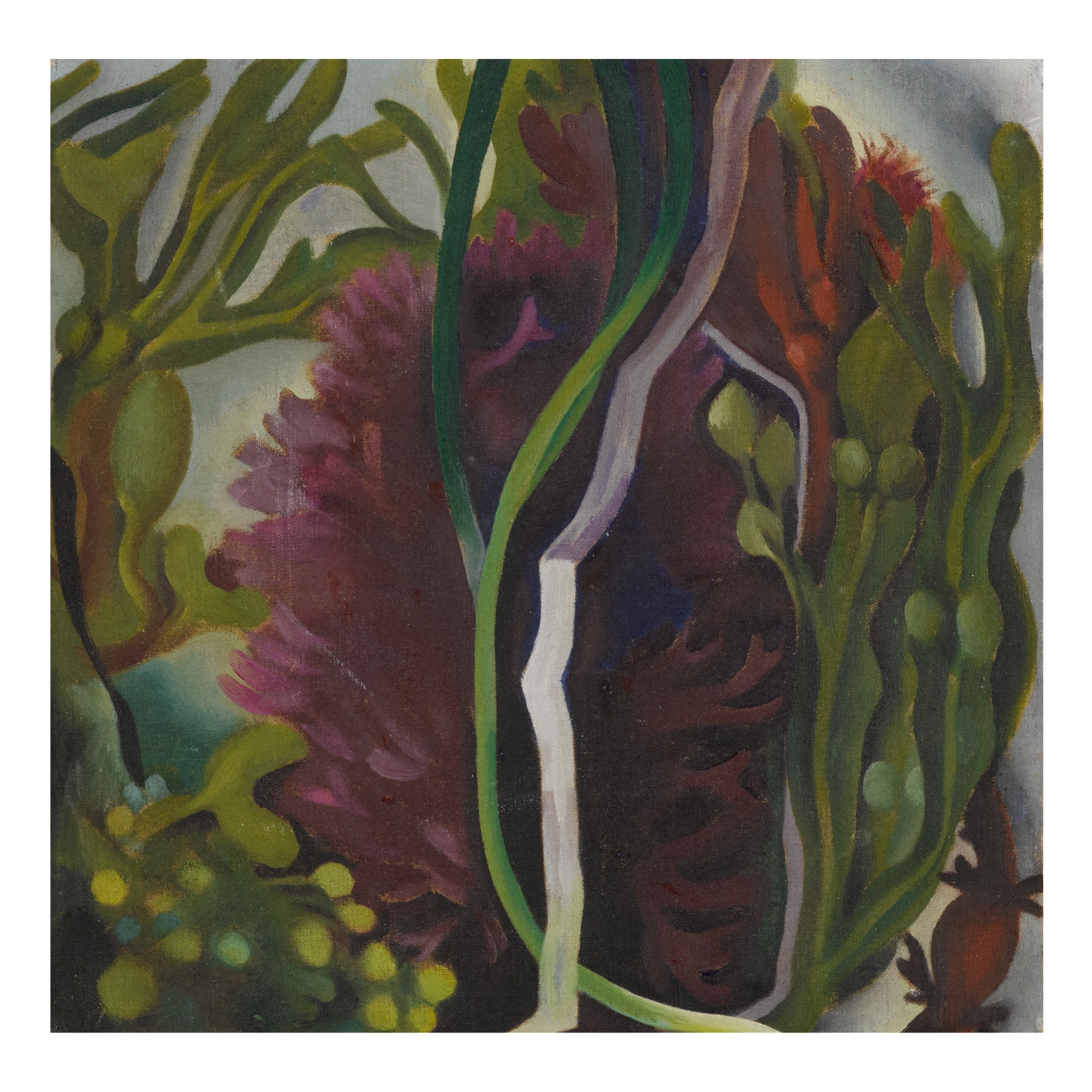 Artwork by Georgia O'Keeffe, SEAWEED, Made of oil on canvas
