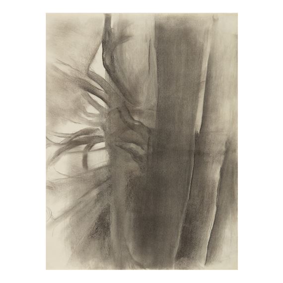 UNTITLED (TREES)