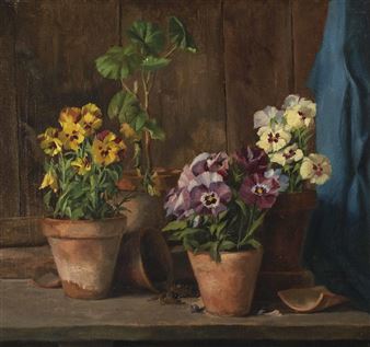 Stiefmütterchen in Tontöpfen - Franz Forthuber