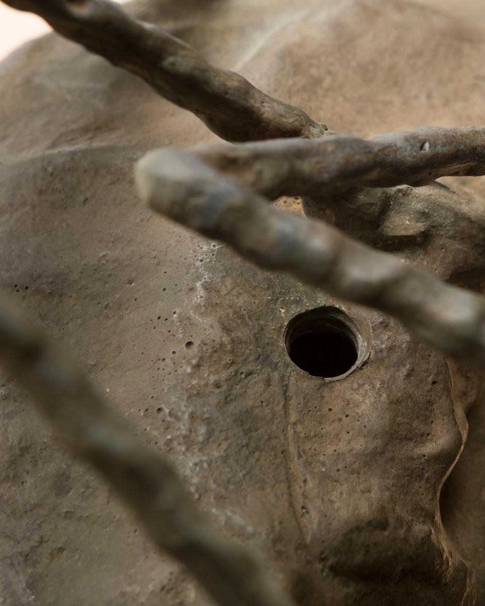 Artwork by Cheryl Ekstrom, "Metamorphosis", Made of Cast bronze