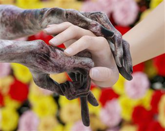 Screens Series: Kate Cooper - New Museum, New York