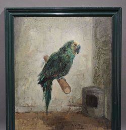 Perroquet - Plato Alice