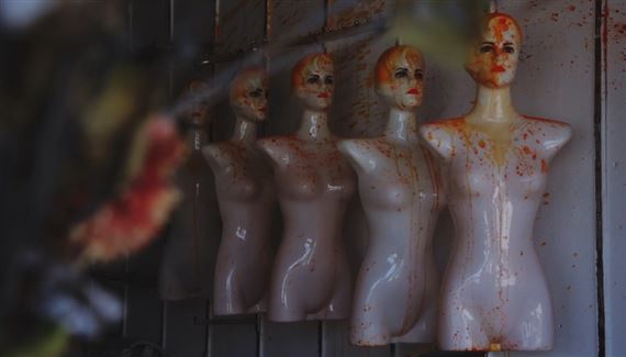 Forms of Freedom; Rojava Film... | Exhibitions | MutualArt