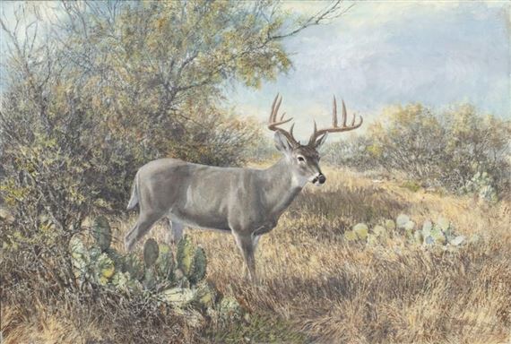 Deer by Tom Beecham, 1980