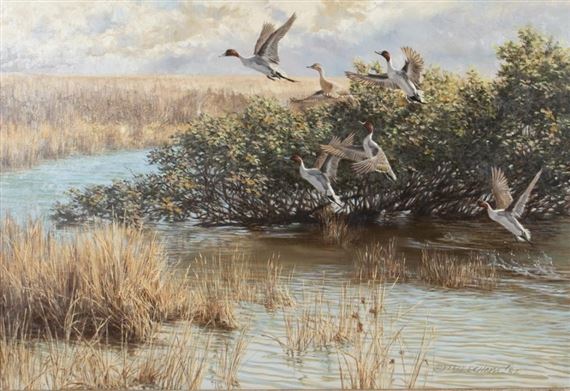 Up & Gone - Pintails by Tom Beecham, 1982