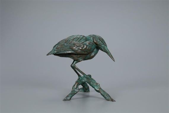 Green Heron by Walter Matia