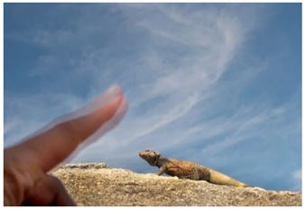 Every Word was Once an Animal - Jordan Schnitzer Museum of Art