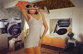 The War on Trolls, Punk's Cutting Edge and the Big Birds of Books – the Week in Art