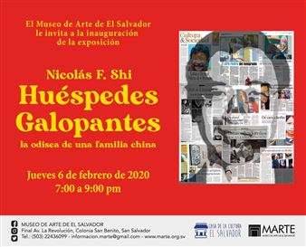 Nicolás F. Shi: Huéspedes Galopantes - Museo MARTE