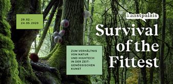 Survival Of The Fittest - Kunstpalais Erlangen