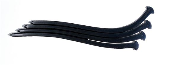 "Frond" by John Bisbee