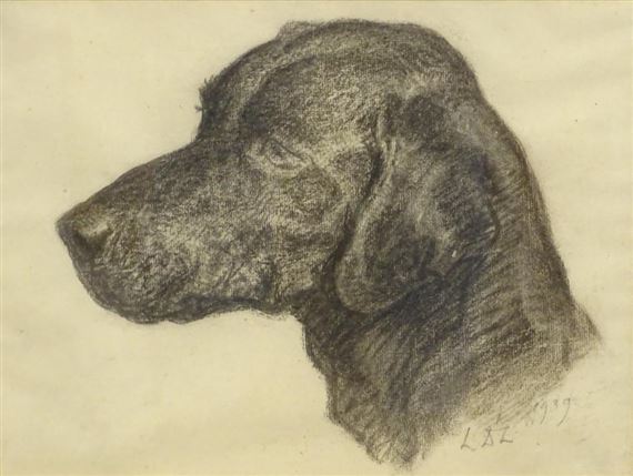 Head of black Labrador - L.D.L. Mike