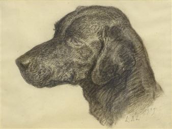 Head of black Labrador - L.D.L. Mike