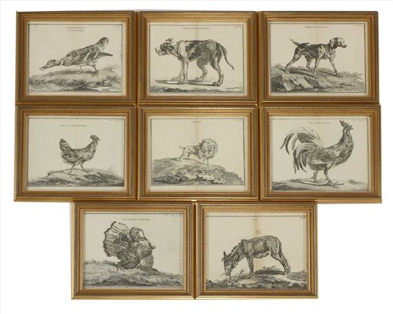 COQ A CRÊTE, DORÉ; FEMALE DUCK; BICHON; BRAQUE DE BENGALE; DONKEY; CREEKED HEN, GOLDEN; COACH OF INDIA variegated; DOGUE DE FORTE RACE by Claude Fessard