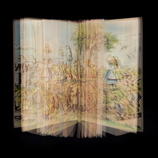 Ellen Cantor: Visual DNA - The Language Of Photographs - DNJ Gallery