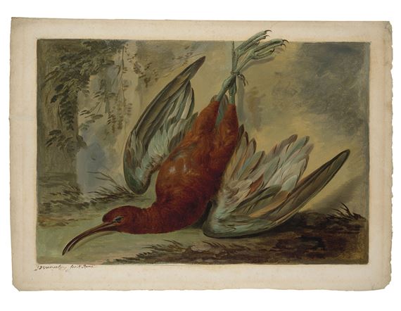 Courlis mort by Jacob Xaver Vermoelen