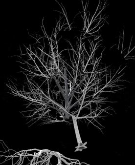 Daniela Baráčková & Tereza Severová: Just Another Place - FUTURA