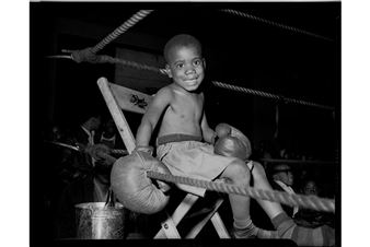 Carnegie Museum of Art Announces a Season of Socially Responsive Exhibitions