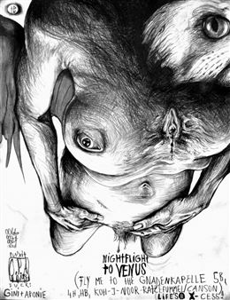 Thomas Palme: Night Flight To Venus - Martinetz