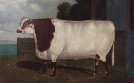 BELLA, THE FAMOUS CHAMPION SHORTHORNED HEIFER by Charles Hubbard, circa 1840