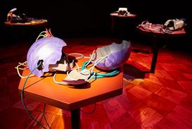 New Exhibitions by Anna Bunting-Branch and Dryden Goodwin Part of Co-Lab Season in QUAD, Derby