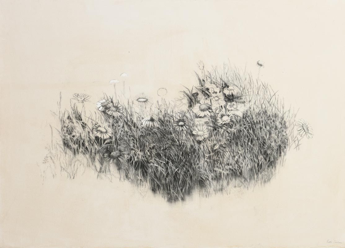 Artwork by Ruth Demin, Meadow, Made of charcoal on linen