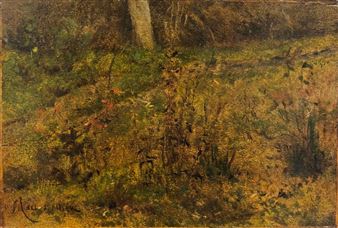 Chemin fleuri dans une forêt - Mars Surallier