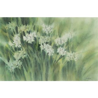 A soft watercolor painting of white wildflowers in a green meadow.