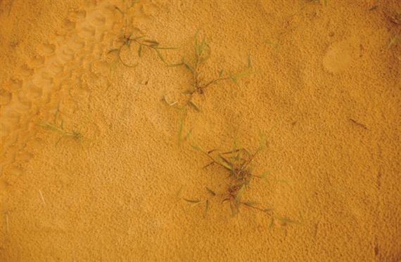 Untitled by William Eggleston, 1983-1986