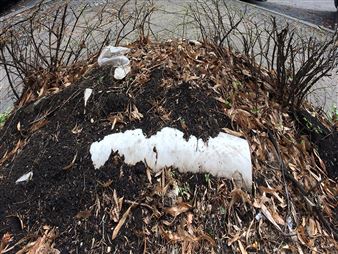 Joshua Zielinski: You Lift Me Up, You Hold Me Down - Sox