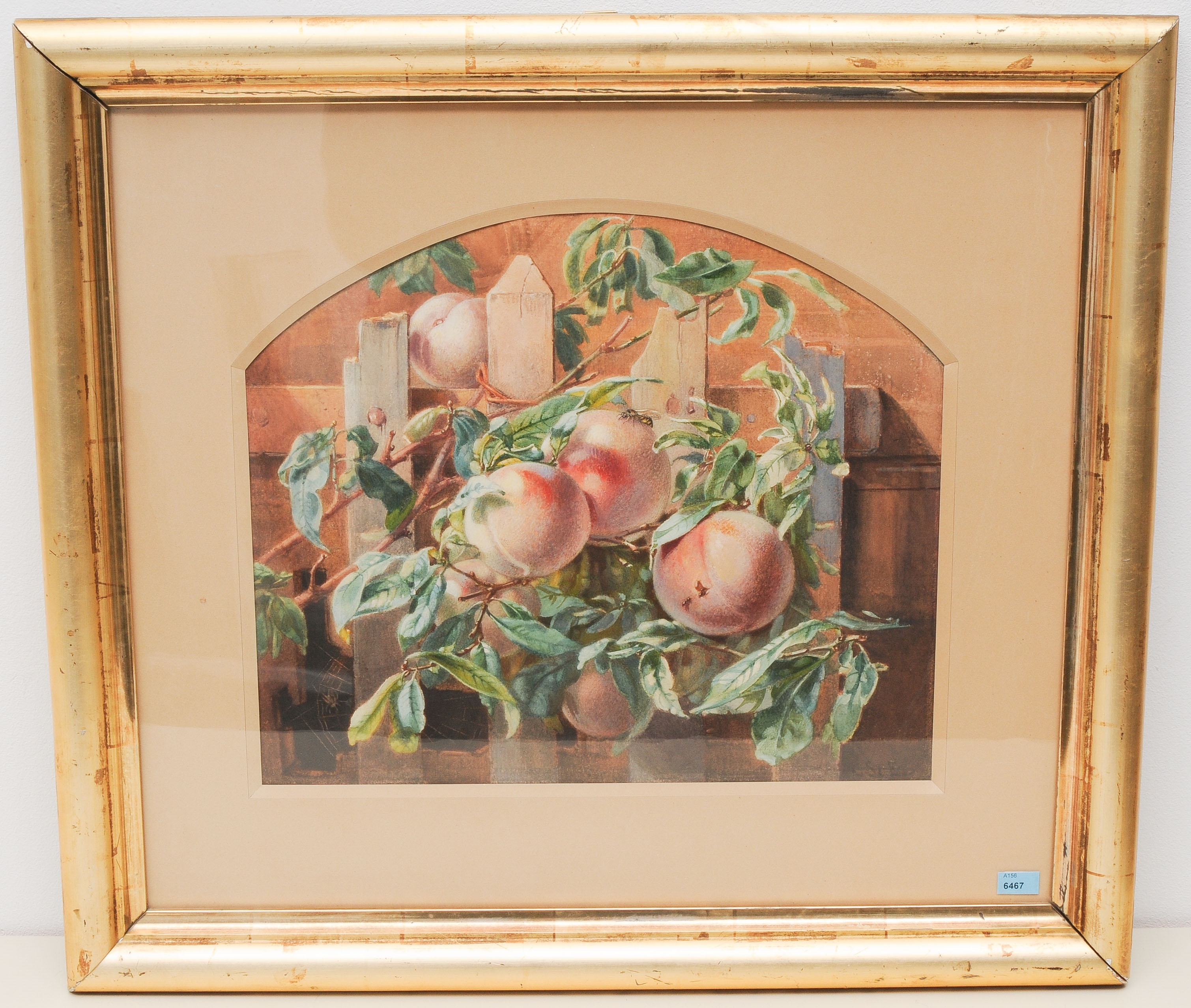 Artwork by Clementine Stockar-escher, "Pfirsiche am Spalier", Made of Watercolor and grattage