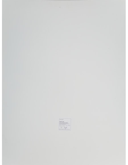 Thomas Ruff | Substrate (2001) | MutualArt