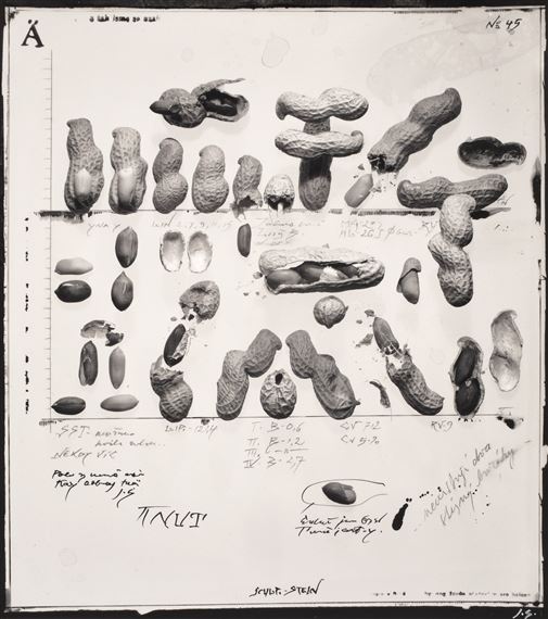 BEZ NÁZVU by Jiří Stach, 1991