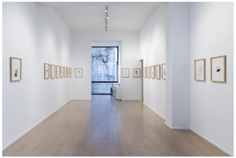 Ronny Delrue: Archive of Thoughts - MLF | Marie-Laure Fleisch