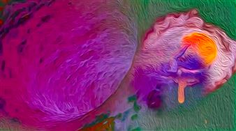 Julian Semilian - Southeastern Center for Contemporary Art