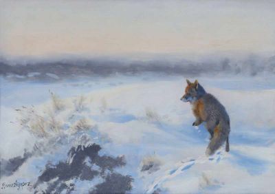 Fuchs im Schnee by Bruno Liljefors