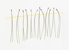 Zoe Dittrich-Wamser: Achsoistische Kammer - Galerie m