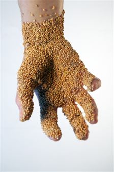 Mariëlle Videler: Bird Bath - Lumen Travo Gallery