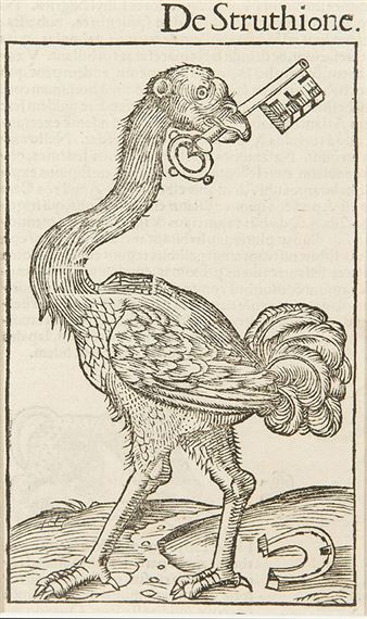 Sebastian Münster | Cosmographia Universalis (1544) | MutualArt