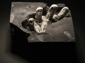 Wendy Richmond: Like the Back of My Hand - Carroll and Sons