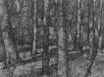 Brian Grimson: Black and White Drawings - Carroll and Sons