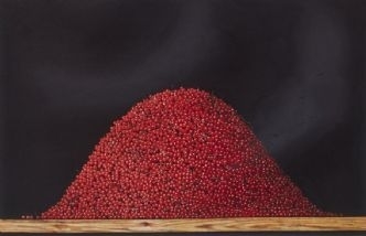 Röda vinbär by Philip von Schantz, 1978